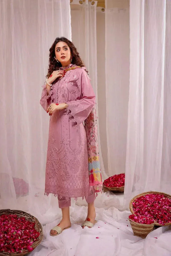 3 PC Embroidered Dhanak Suit - RR2026 - Rangrezza