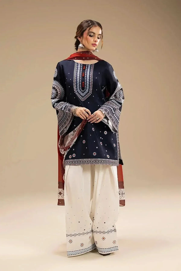 3 PC Embroidered Dhanak Suit – RR2023 - Rangrezza
