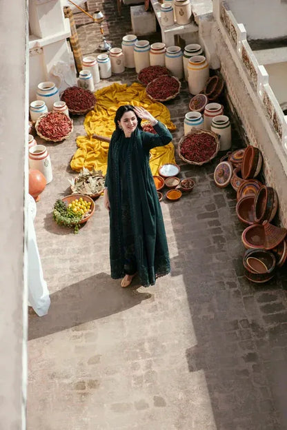 3 PC EMBROIDERED DHANAK SUIT – RR2054 - Rangrezza