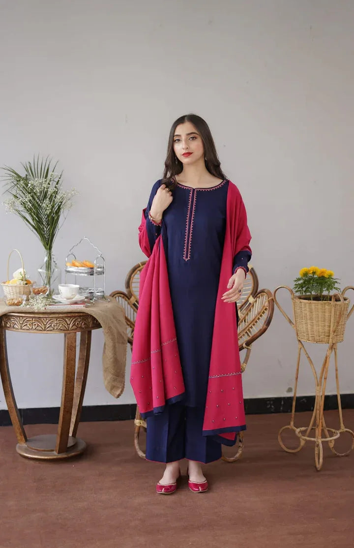 BLUEBERRY | 3 PC EMBROIDERED DHANAK SUIT - RR2062 - Rangrezza