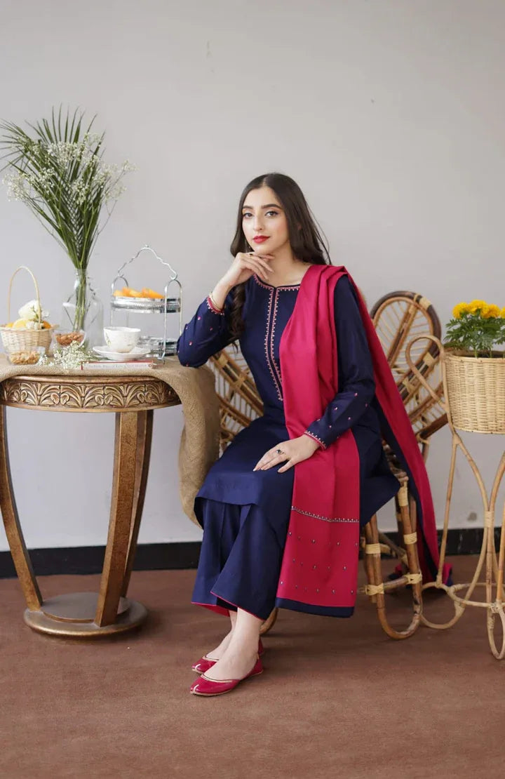 BLUEBERRY | 3 PC EMBROIDERED DHANAK SUIT - RR2062 - Rangrezza