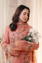 Premium Cambric Cotton 3PC Unstitched Suit - RR3027
